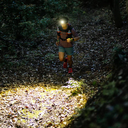 LEDLENSER レッドレンザージャパン設立10周年特別限定モデル H8R