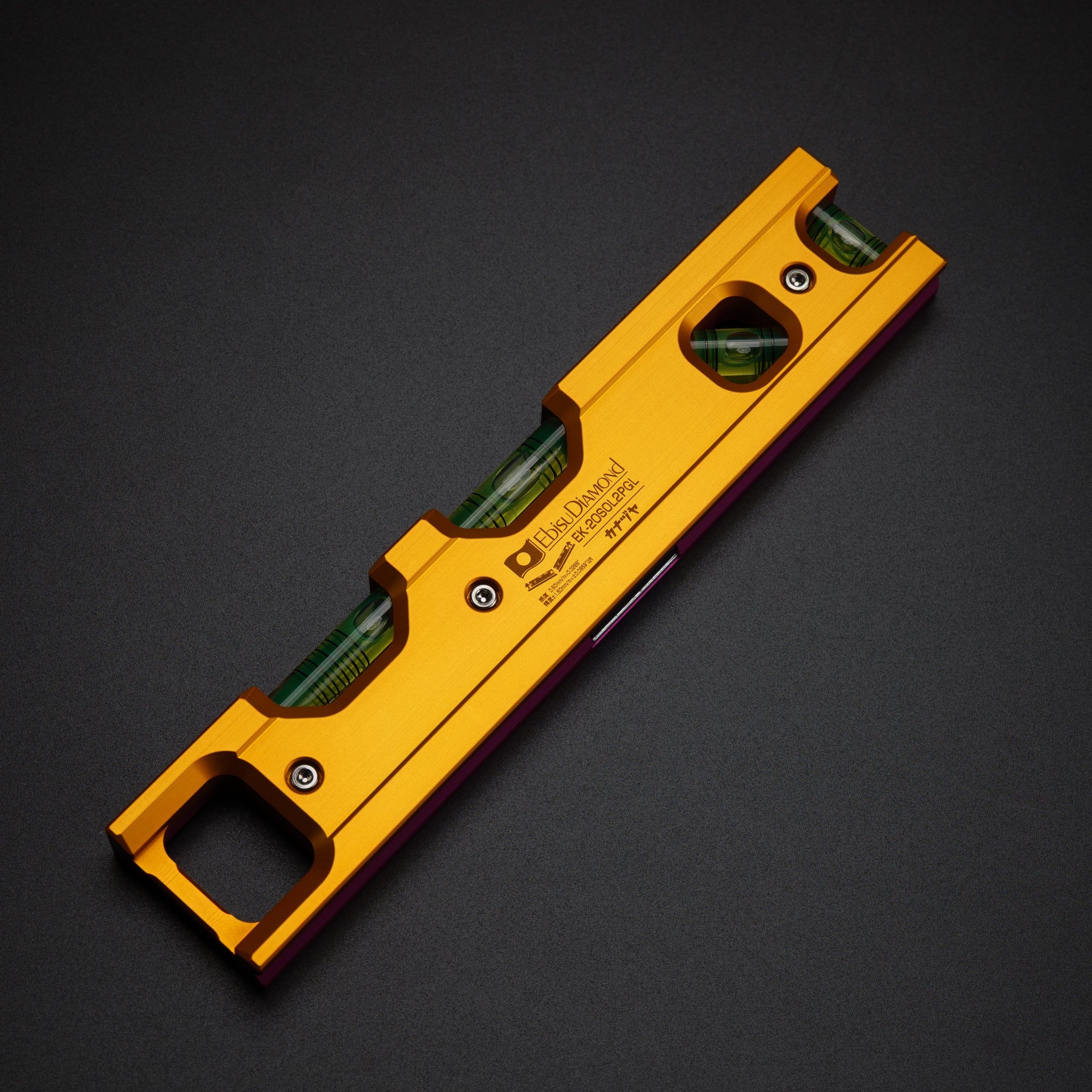 金津屋商店×エビス カラーソリッドレベル2【COLOR SOLID LEVEL2