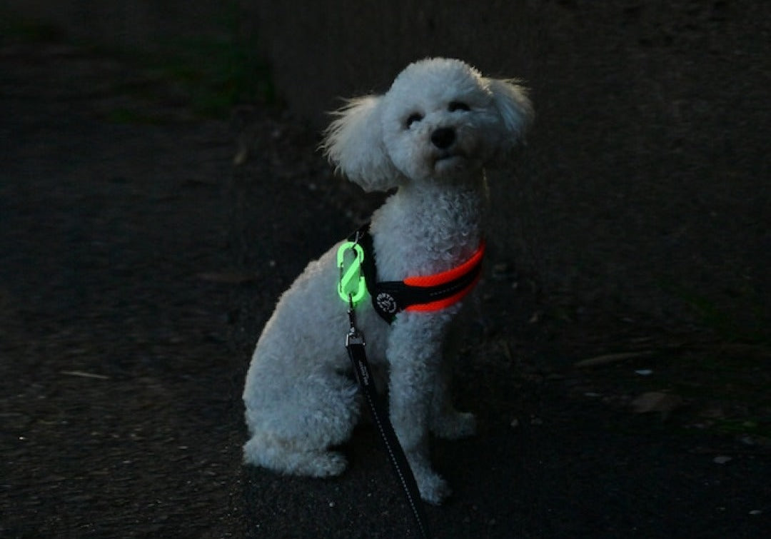 Maruhachi Kasei OUROBOROS CLIP (Oboro) Glow-in-the-Dark Green/Glow-in-the-Dark Blue