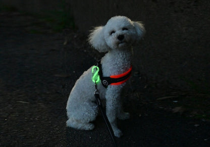 Maruhachi Kasei OUROBOROS CLIP (Oboro) Glow-in-the-Dark Green/Glow-in-the-Dark Blue