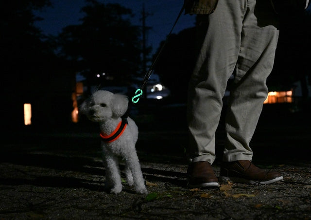 Maruhachi Kasei OUROBOROS CLIP (Oboro) Glow-in-the-Dark Green/Glow-in-the-Dark Blue