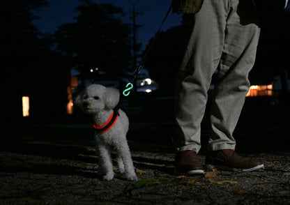 Maruhachi Kasei OUROBOROS CLIP (Oboro) Glow-in-the-Dark Green/Glow-in-the-Dark Blue
